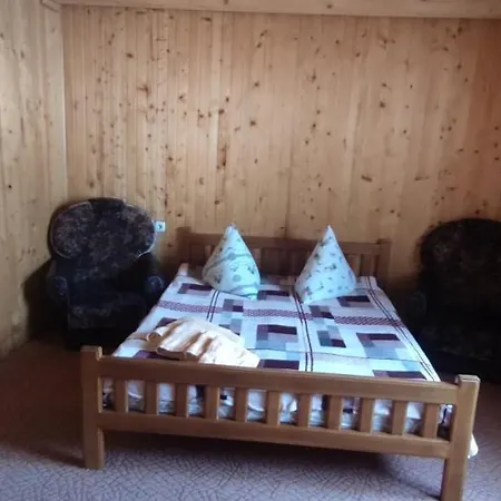 Guest house Prutets *
