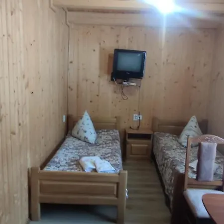 Guest house Prutets