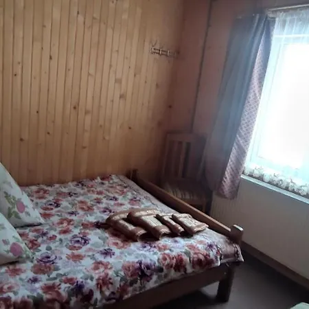Guest house Prutets