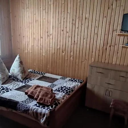 Guest house Prutets
