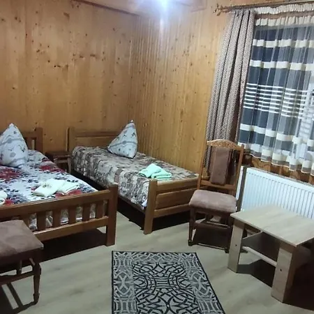 Guest house Prutets