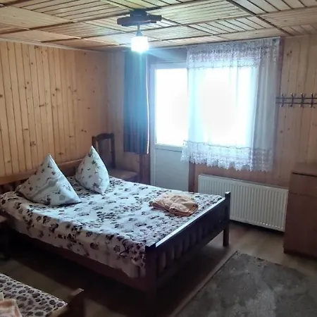 Guest house Prutets