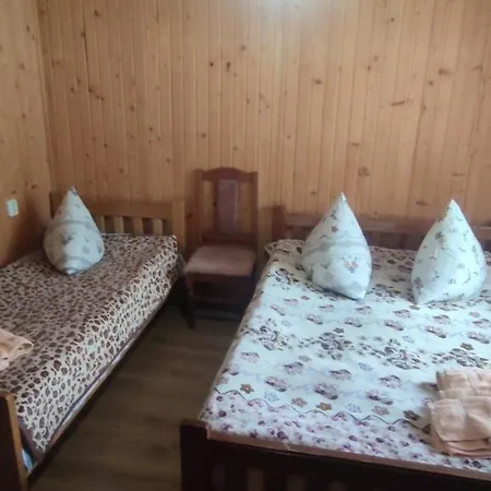 Guest house Prutets