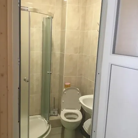 Guest house Prutets *
